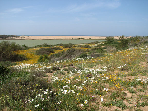 Naturschutzgebiet 1