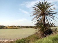 Galerie Im Souss-Massa Nationalpark anzeigen